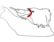 the author
